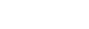 açaí concept